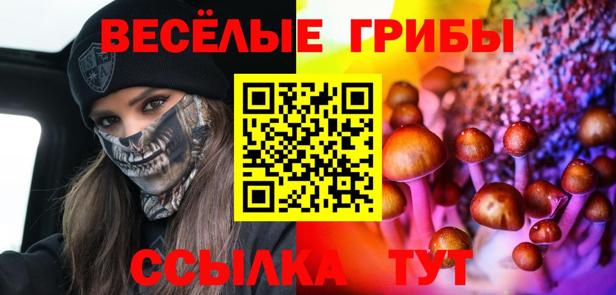Галлюциногенные грибы мухоморы  Галлюциногенные грибы мицелий  Вход с VPN  Геленджик 