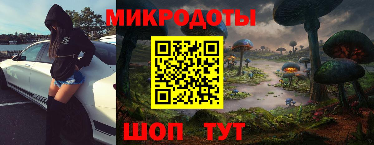 Псилоцибиновые грибы прущие грибы Геленджик